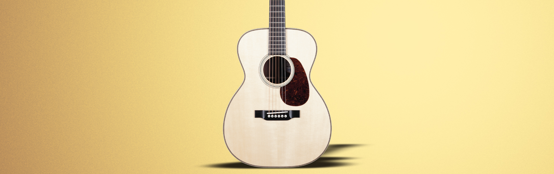 Acoustic Guitar - String Instrument