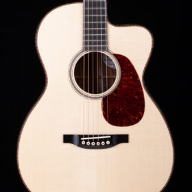 Acoustic-electric guitar - Acoustic Guitar