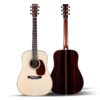 Guitar - Acoustic Guitar