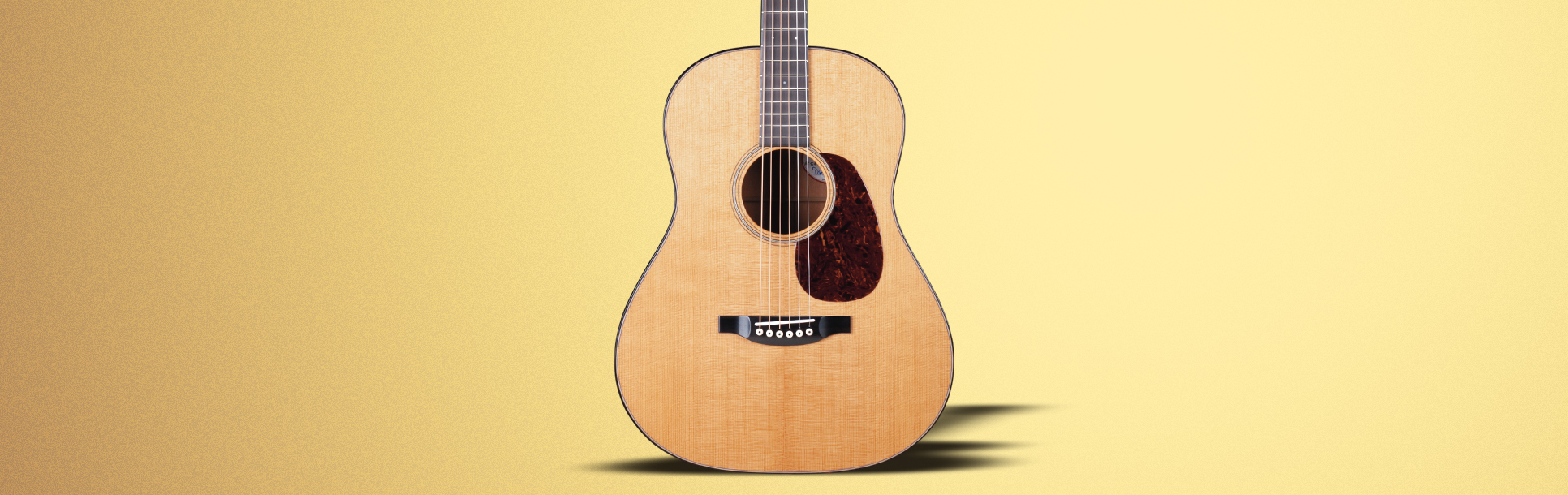 String Instrument - Acoustic Guitar