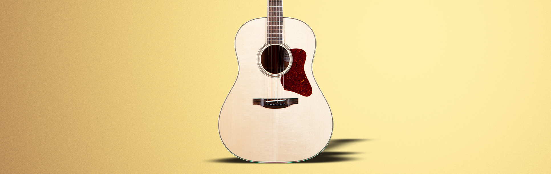Acoustic Guitar - String Instrument