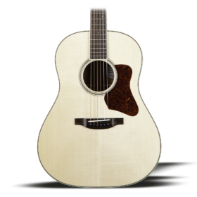 Acoustic Guitar - String Instrument