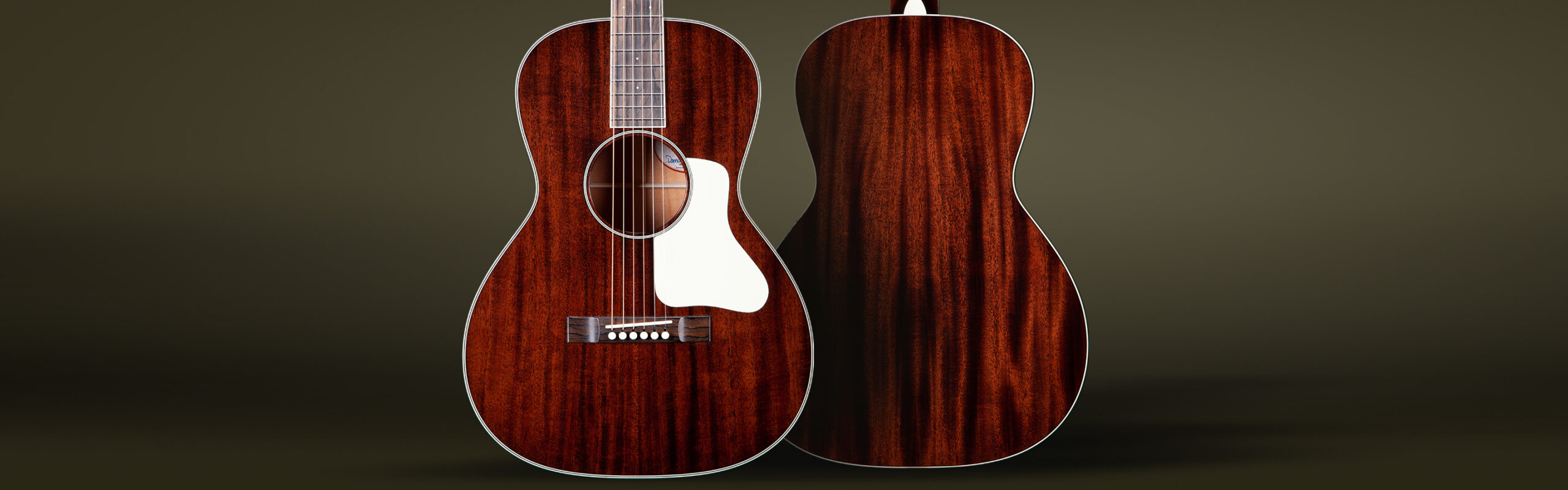 String Instrument - Acoustic Guitar