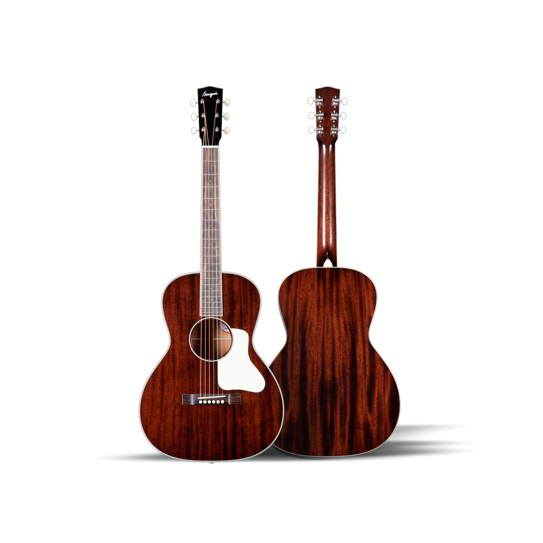 Acoustic Guitar - Guitar