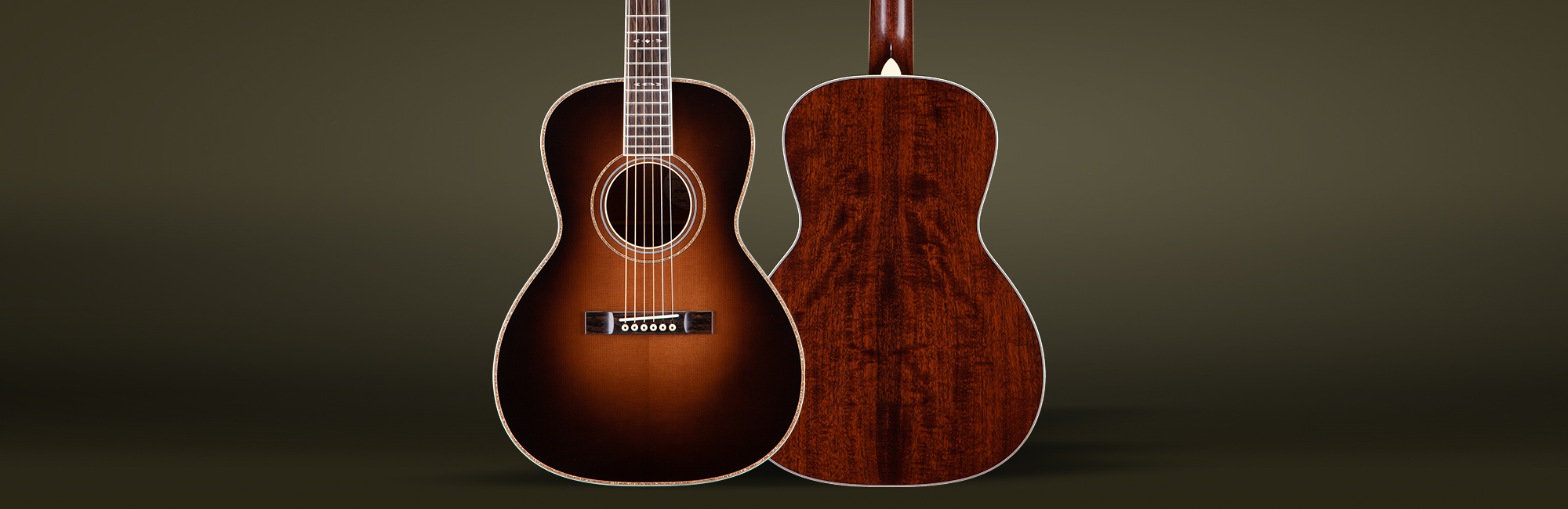 String Instrument - Acoustic Guitar