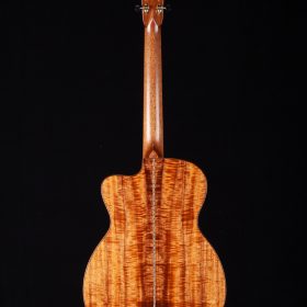 String Instrument - Bass Guitar