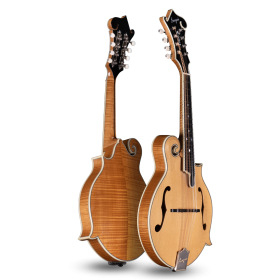 Bourgeois M5F Mandolin