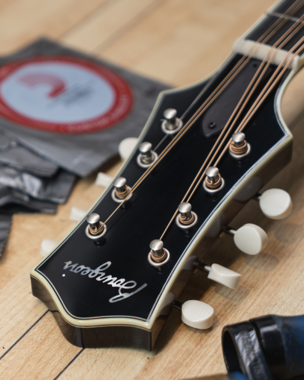 Octave Mandolin String Sets - Image 2