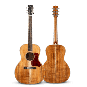 Hawaiian Bourgeois Blues LDB/DE